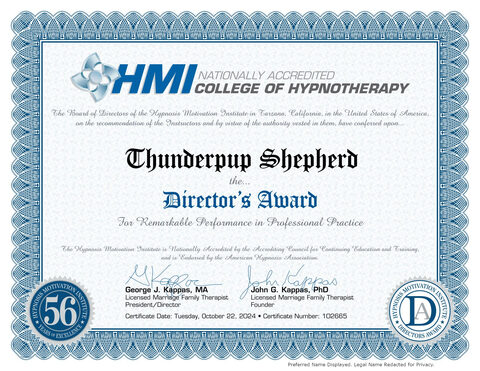 Director's Award