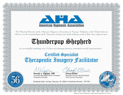 Certified Specialist: Therapeutic Imagery Facilitator